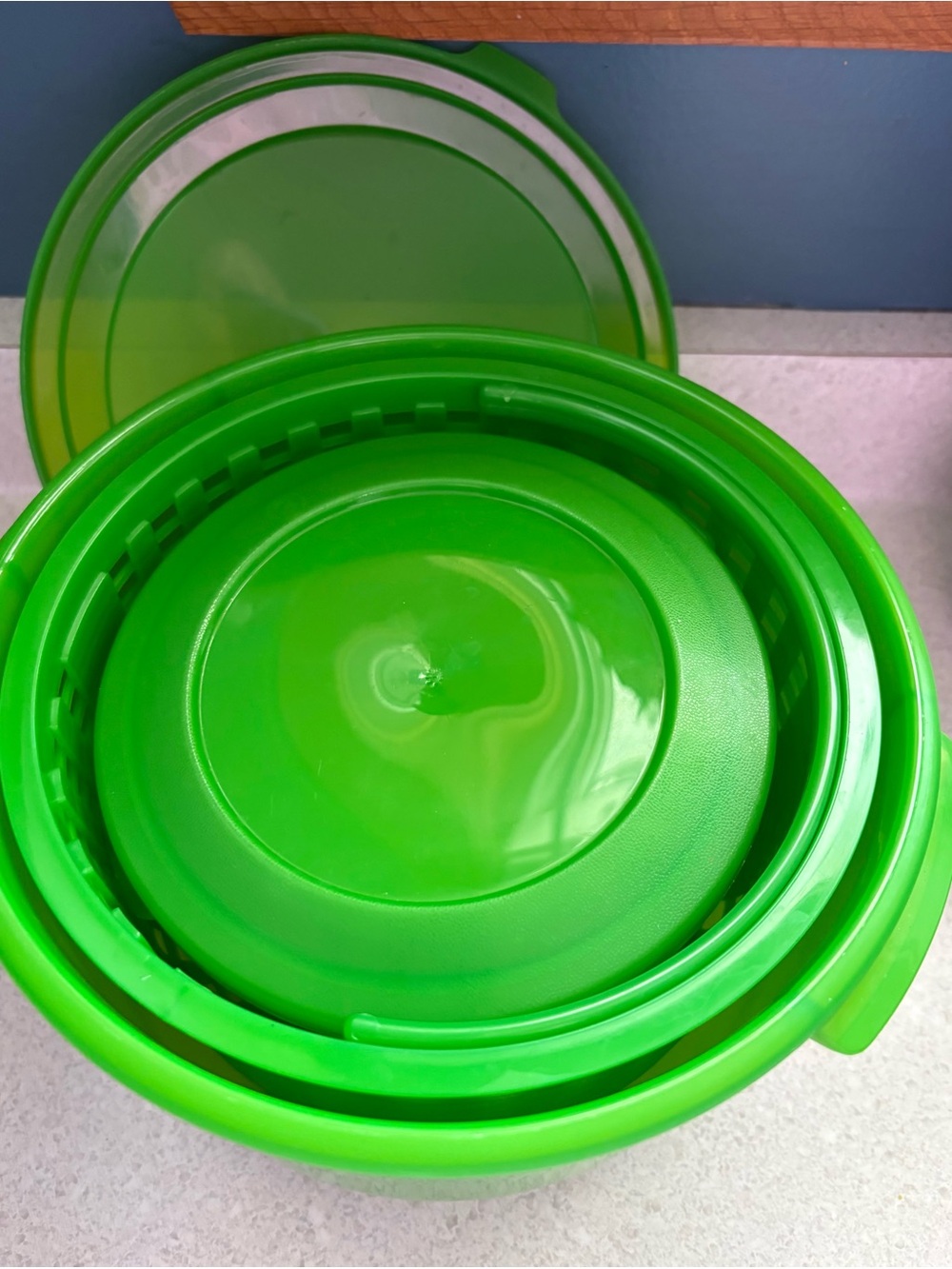 Debbie Meyer Green Plastic Food Storage Containers Set - Picture 7 of 7